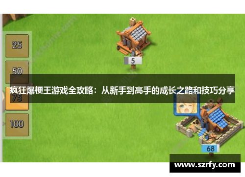 疯狂爆梗王游戏全攻略：从新手到高手的成长之路和技巧分享