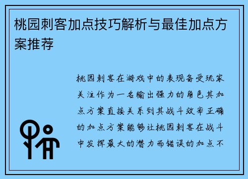 桃园刺客加点技巧解析与最佳加点方案推荐